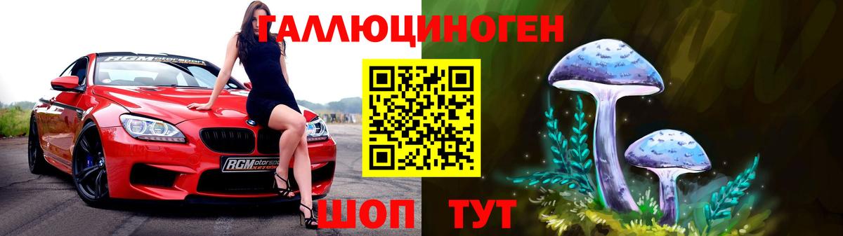 Псилоцибиновые грибы Cubensis  Вход с VPN  Нарткала  Псилоцибиновые грибы мицелий 